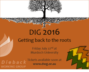 Dig Conference 2016 – Getting Back To The Roots 11
