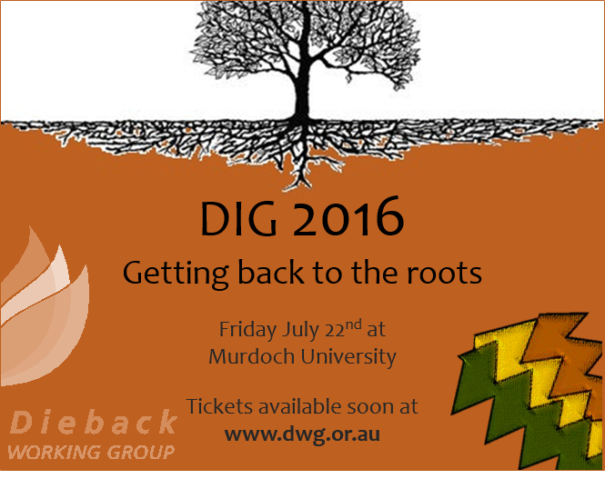 Dig Conference 2016 – Getting Back To The Roots 1