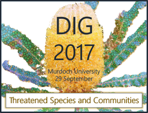 Check Out The 2017 Dig Program 2