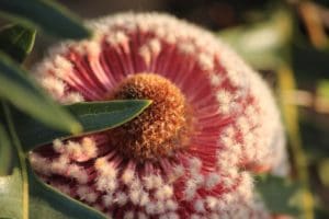 Agm Agenda And Reports On The Public Drive 7