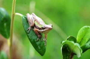 Summer Rain - High Time For Hygiene 3