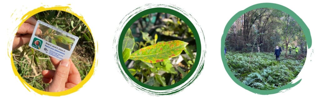 Myrtle Rust Surveillance Training Course 1 Myrtle Rust Surveillance Training Course 1