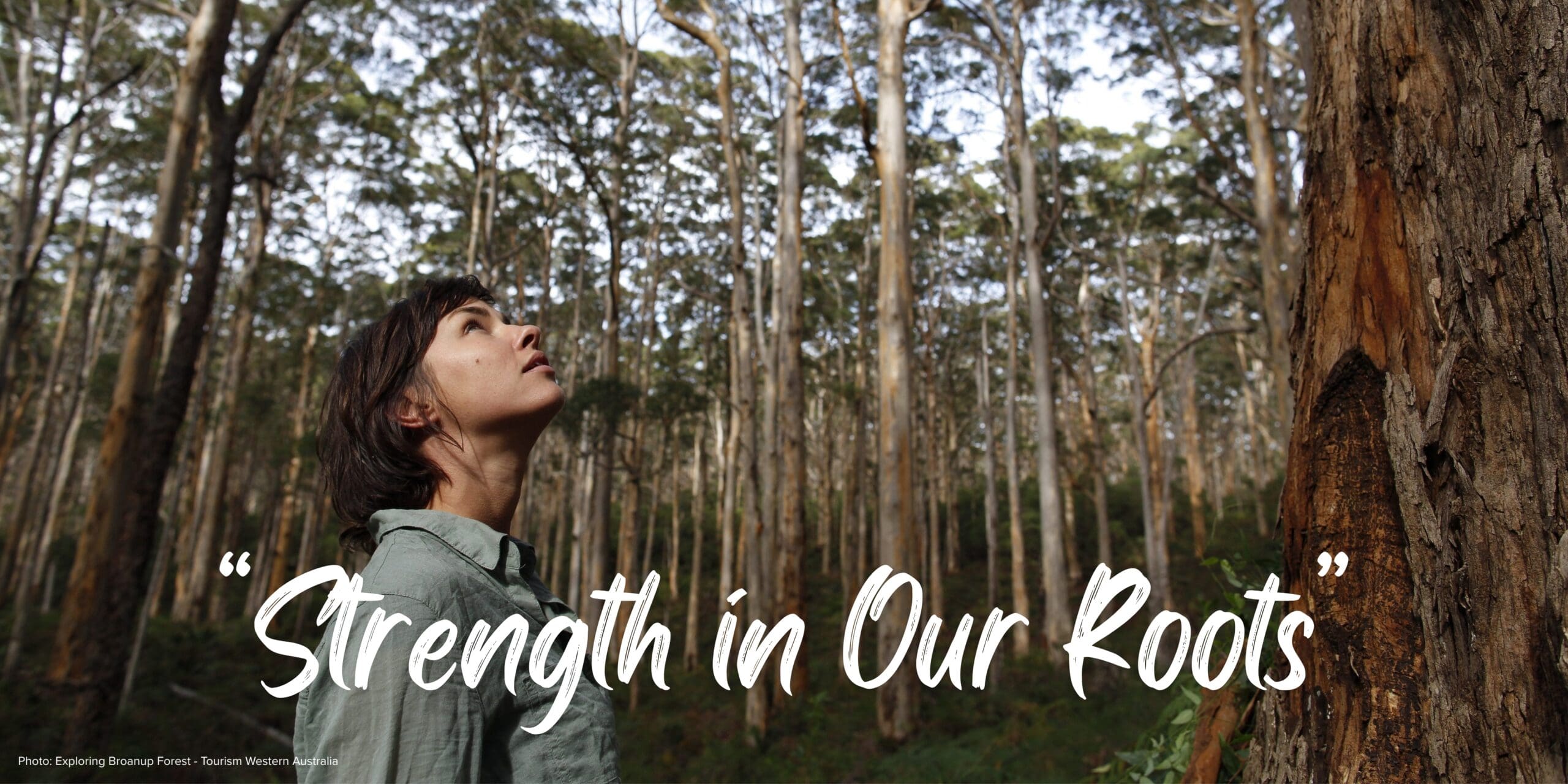 Exploring Broanup Forest Exploring the Broanup Forest - "Strength in Our Roots"