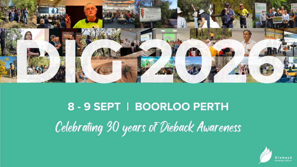 Dig 2026 - Celebrating 30 Years